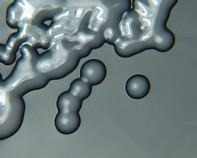 soil bacteria soil bacteria